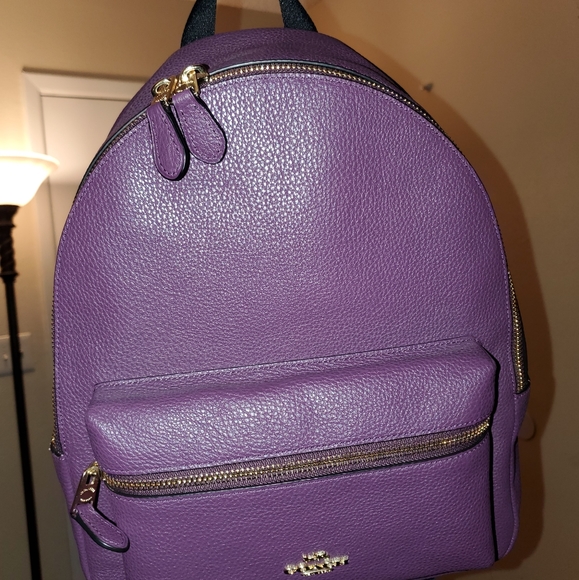 Coach pack pack/purse